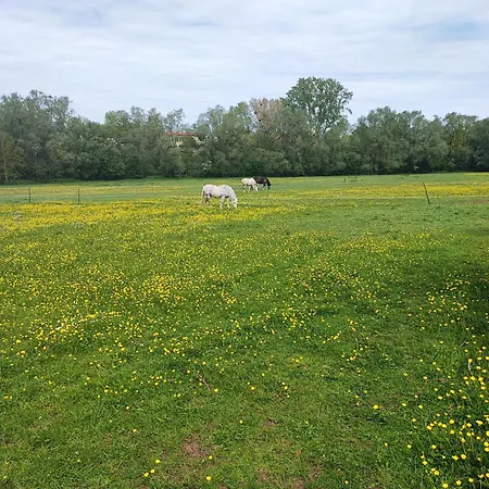 Loft Cosy, Zen, Télétravail Casa vacanze Ville-sur-Yron