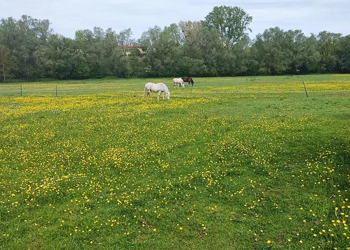 Loft Cosy, Zen, Teletravail Holiday home Ville-sur-Yron